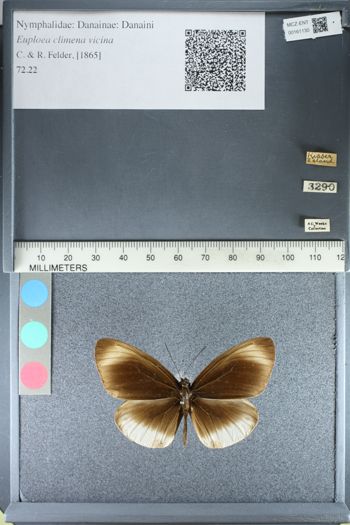 Media type: image;   Entomology 161130